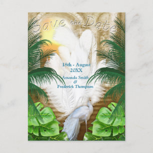 Golden Royal Peacock Tempel Ankündigungspostkarte