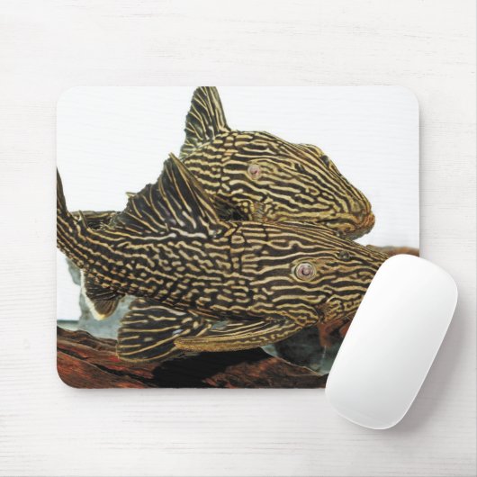 Golden Royal Plecoのマウスパッド Mousepad (Mit Mouse)