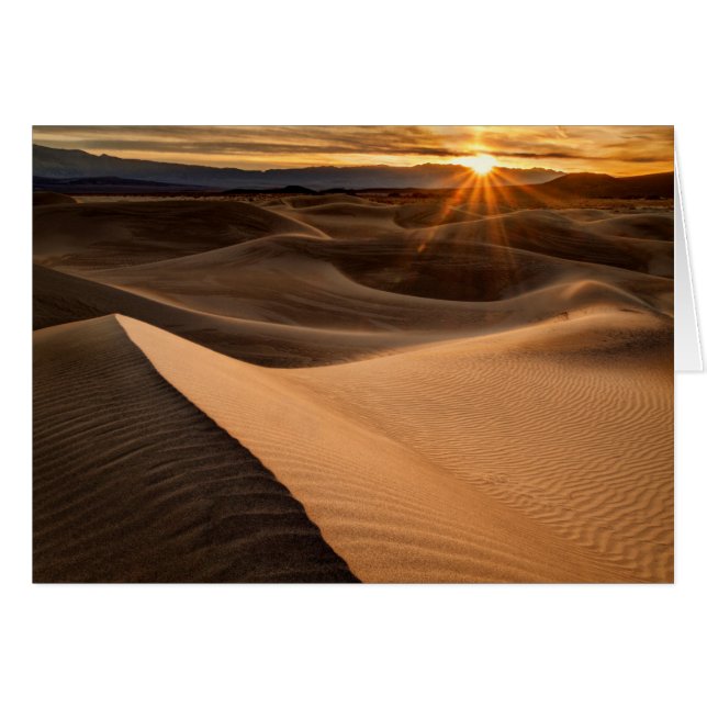 Golden Sand dunes, Death Valley, CA (Vorderseite (Horizontal))