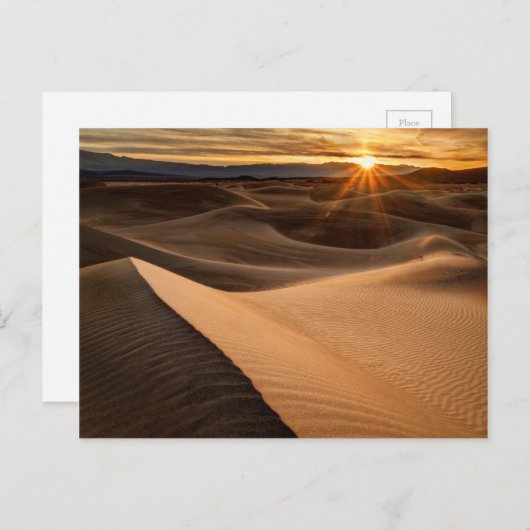 Golden Sand dunes, Death Valley, CA Postkarte (Vorne/Hinten)
