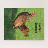 Golden Sebright Hen - Bantam Pet Chicken Puzzle (Horizontal)