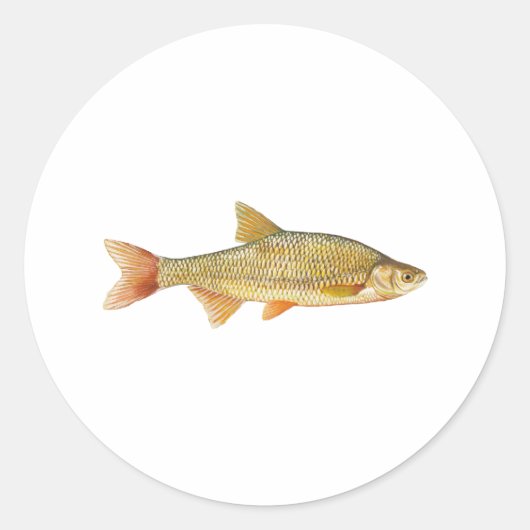 Golden Shiner Logo Runder Aufkleber (Vorderseite)