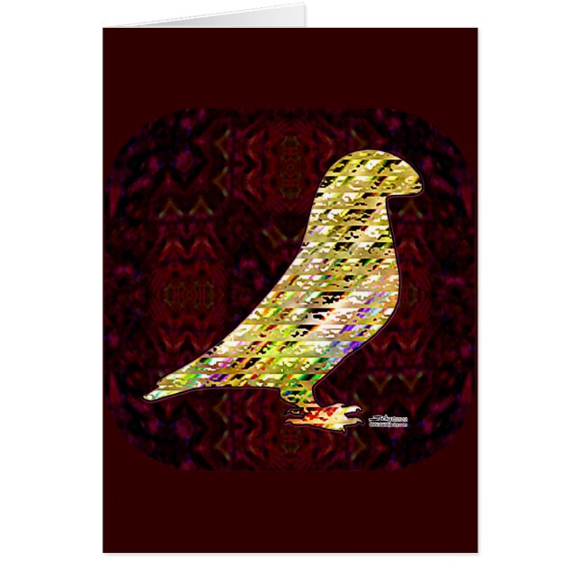 Golden Show Racer Pigeon (Vorne)