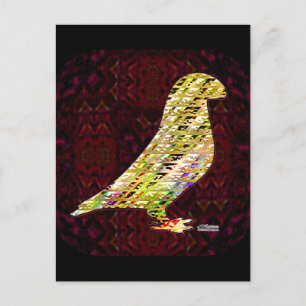 Golden Show Racer Pigeon Postkarte