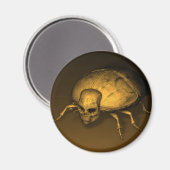 Golden Skull Bug Magnet (Vorderseite/Rückseite)