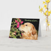 Golden Sniffing Blume und Denken Sie an Sie Karte (Gelbe Blume)