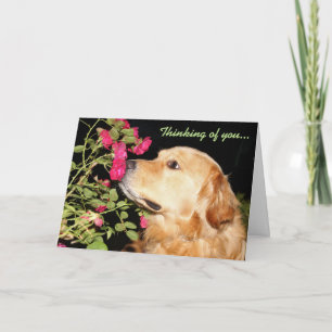 Golden Sniffing Blume und Denken Sie an Sie Karte