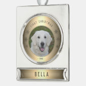 Golden Snowflake Welpe Foto Cermant Banner-Ornament Silber (Links)