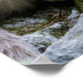 Golden Snub Nosed Monkey mit Baby Poster (Ecke)