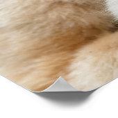 Golden Snub-nosed Monkey Vater mit Baby Poster (Ecke)