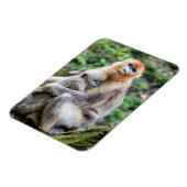 Golden Snub-Nosed Monkey with Baby Magnet (Linke Seite)
