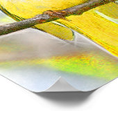Golden Songbird Poster (Ecke)