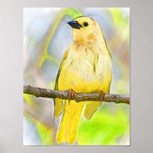 Golden Songbird Poster (Vorne)