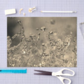 Golden Splash Seidenpapier (Handwerk)