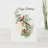 Golden Star-Frontlet Karte (Vorderseite)