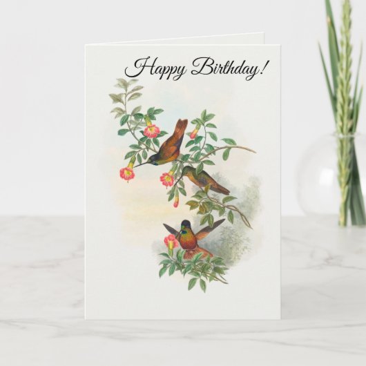 Golden Star-Frontlet Karte (Vorderseite)