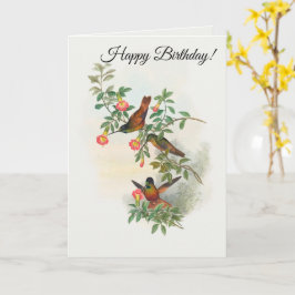 Golden Star-Frontlet Karte