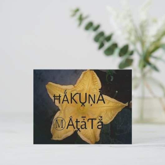 Golden Star Hakuna Matata Kunstdruckerei Postkarte (Stehend Vorderseite)