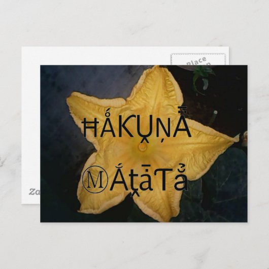 Golden Star Hakuna Matata Kunstdruckerei Postkarte (Vorne/Hinten)
