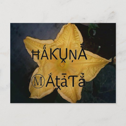 Golden Star Hakuna Matata Kunstdruckerei Postkarte (Vorderseite)