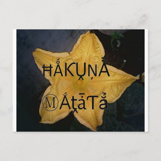 Golden Star Hakuna Matata Kunstdruckerei Postkarte (Vorderseite)