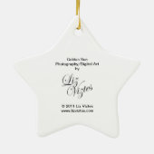 Golden Sun Star Ornament (Hinten)