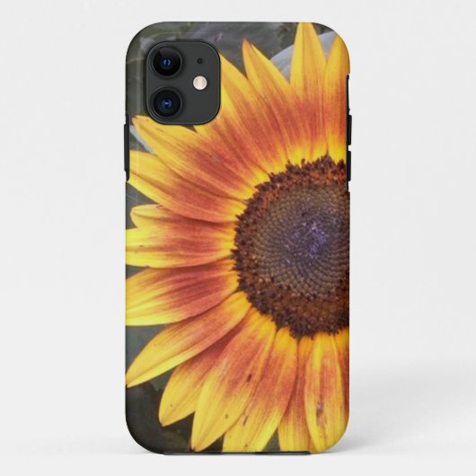 Golden Sunflower iPhone 5 Gehäuse Case-Mate iPhone Hülle (Rückseite)
