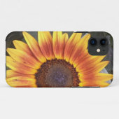 Golden Sunflower iPhone 5 Gehäuse Case-Mate iPhone Hülle (Rückseite (Horizontal))