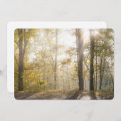 Golden sunlight through autumn trees feiertagskarte (Vorne/Hinten)