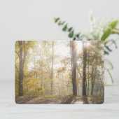 Golden sunlight through autumn trees feiertagskarte (Stehend Vorderseite)