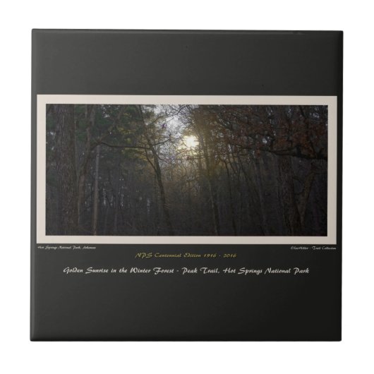 Golden Sunrise Winter Forest Centennial Ed Fliese (Vorderseite)
