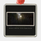Golden Sunrise Winter Forest Centennial Ed Silbernes Ornament (Vorne)