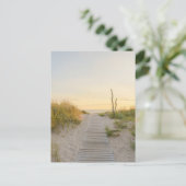 Golden sunset Baltic sea view in Liepaja, Latvia Postkarte (Stehend Vorderseite)