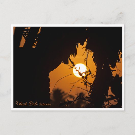 Golden Sunset Garden Ubud – Art Postcard Postkarte (Vorderseite)
