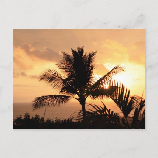Golden Sunset Tropical Postcard Postkarte (Vorderseite)