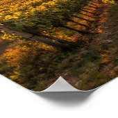 Golden Sunset Vineyard Poster - Tuscan Landscape (Ecke)