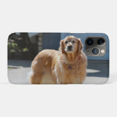 Golden Sunshine Case-Mate iPhone Hülle (Rückseite (Horizontal))