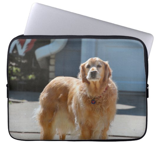 Golden Sunshine Laptopschutzhülle (Vorderseite)