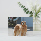 Golden Sunshine Postkarte (Stehend Vorderseite)