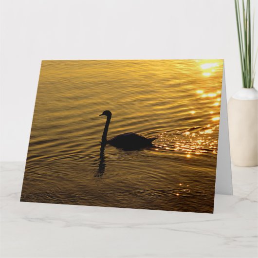 Golden Swan Karte (Vorderseite)