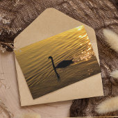 Golden Swan Karte