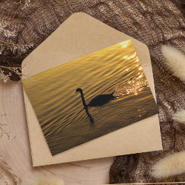 Golden Swan Karte