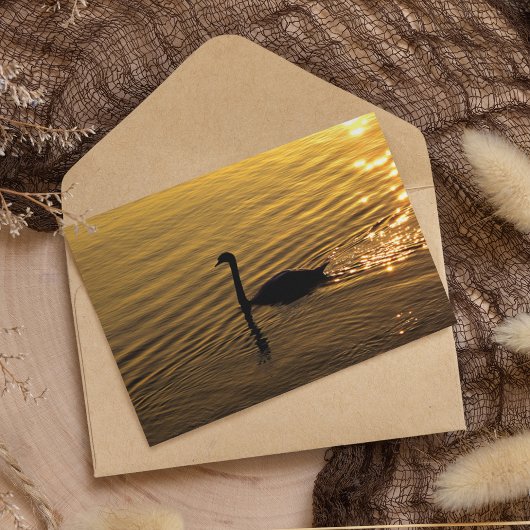 Golden Swan Karte