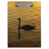 Golden Swan Klemmbrett (Vorderseite)