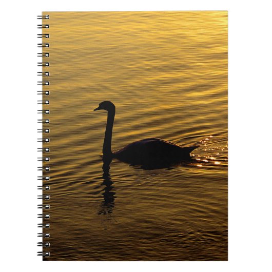 Golden Swan Notizblock (Vorderseite)