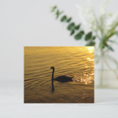 Golden Swan Paper  (Stehend Vorderseite)