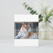 Golden Tabby tiger im Zoo von Cougar Mountain Postkarte (Stehend Vorderseite)