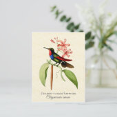 Golden Tail Sapphire Hummingbird Art Postcard Postkarte (Stehend Vorderseite)