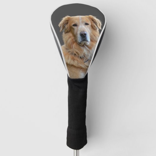 Golden Tetriever Abgeschieden Hund Golf Headcover (Vorderseite)