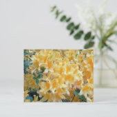 Golden Throated Yellow Azaleas Blume Postkarte (Stehend Vorderseite)